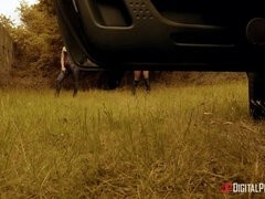 69, Zadek, Velké kozy, Auto, Prstění, Výprask, Venku, Seřezání