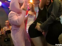 Blondýna, Brunetka, Nazí chlapi, Dávení penisem, Hd, Podpatky, Párty, Swingers