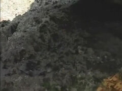 Toccando, Giapponese, Lingerie, All'aperto, Tette