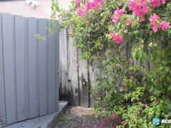 Bikini, Brunette, Bløtkake, Pappa, Datter, Hd, Tenåring