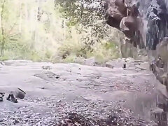 Would You Like to Go to the Forest with Us, Darling?