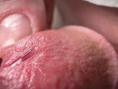 Close-up Penis and Egg Massaging