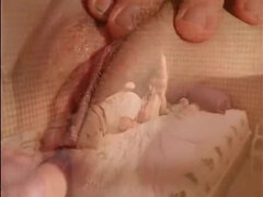 Arsch, Grosser arsch, Klassisch, Spermaladung, Hd, Muschi, Jungendliche (18+), Titten