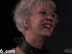 Blondine, Pik sutte, Pik, Hårdt, Hd