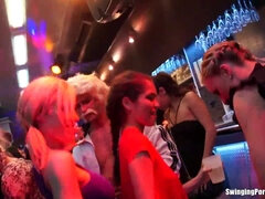 Watch these kinky club babes get wild with oral, group sex, and hardcore fucking