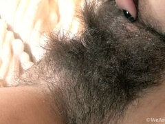 Kont, Bruinharig, Harig, Ondergoed, Dikke tepels