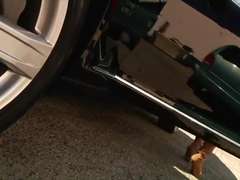 Kotě, Brunetka, Pornstars