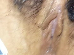 Peludoa, Xoxota