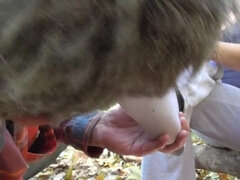 sniff my socks�