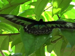 Πόδια, Μαλακία με το πόδι, Η κοπέλα μου, Λατίνα, Εκτός, Δημόσιο, Μουνί, Κοκκαλιάρης