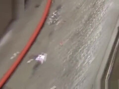 Ασιάτης, Ηδ, Ιάπωνας