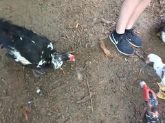 Любители, Пляж, Подружка, Пирсинг, От первого лица, На публике, Киски, Сиськи