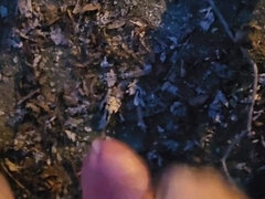 Quick Cum