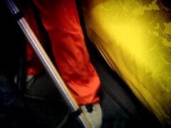 Kotě, Velký zadek, Velké péro, Velké kozy, Černé, Kuřba, Britské, Milf žcbp