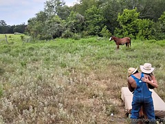 Stora tuttar, Svart, Blondin, Ebenholts, Hardcore, Mogen, Tuttar, Fru