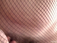 Blondi, Karvainen, Alusvaatteet, Turvonneet nännit, Sukkahousu