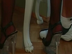 Anal, Stora tuttar, Brunett, Sperma shot, Fingering, Hardcore, Underkläder