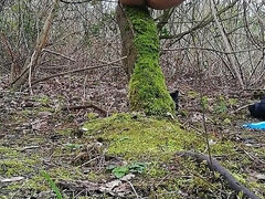 Amaterji, Zunaj, Koščena, Solo