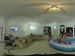Tekintélyes didik, Kebles, Latin lány, Leszbikus, Természetes mellek, Orgia, Filigrán alkatú, Birkózás