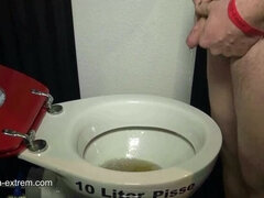 Bonita and Rosella vs a full-pissed toilet bowl!