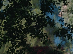 Girl Loves Being Got Laid - Zoe Bloom