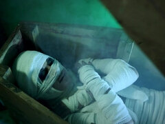 Velké péro, Kuřba, Stříkání spermatu, Na pejska, Hd, Milf žcbp, Přírodní prsa, Vymena manželek