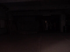 asian maid - giving head