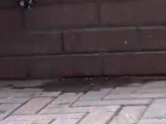 Aasialainen, Fetissi, Japanilainen, Ulkona, Julkinen, Lutka