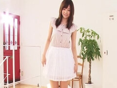 Ázsiai, Gesztenyebarna, Diákotthon, Szőrös, Hd, Japán