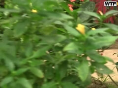 Anal, Brunett, Slick, Underkläder, Onani, Stockings, Strippa, Leksaker