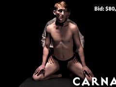 Stor pik, Pik sutte, Fetish, Homoseksuel, Hd, Muskel