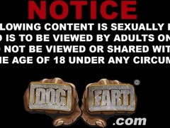 Anal, Gros cul, Sucer une bite, Tir de sperme, Noir ébène, Trou de la gloire, Actrice du porno, Nénés