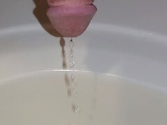 Amerikansk, Badrum, Kissar