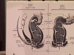Amatoriale, Tette grandi, Imbrogliare, Fare fisting, Tedesca amatoriale, Fatto in casa, Lesbica, Mamma che vorrei scoparmi