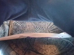 Amador amadora, Europeu, Alemãoã, Peludoa, Xoxota, Solo chão