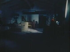 Dr. Dildo s Secret (1970)