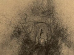 Fratello, Famiglia, Capellona, Figa, Retrò, Tabù, D'annata