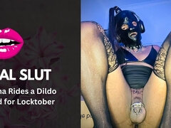 Amatéři, Anál, Asijské, Dildo, Ladyboy, Spodní prádlo, Masturbace, Sólo