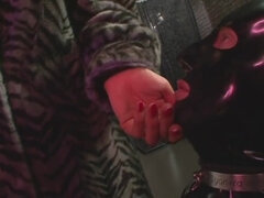 Блондинки, Минет, Глубокая глотка, Женское доминирование, Фетиш, Фут фетиш, Латекс, Киски