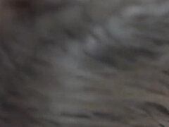 Amador amadora, Bundão, Boquete, Gozar na boca, Sexo grupal a quatro, Beijar, Baixinhoa, Tatuagem