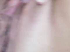 Close up view of me playing with my wet kitty