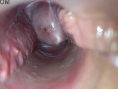 Amatoriale, Brunetta, Hardcore, Hd, Fatto in casa, Orgasmo, Figa