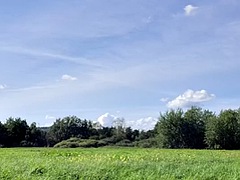 Amaterji, Velik kurac, Zunanji izliv, Razkazovanje jošk v javnosti, Francozinja, Gej, Dekle drka tiča, Zunaj