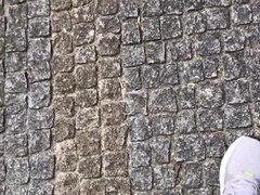 Leie, Europäisch, Selbstgemacht, Im freien, Solo