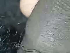 Amatéri, Indické, Masturbácia, Z pohľadu účastníka, Sólo