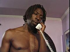 Praia, Negroa, Boquete, Ébano negroa, Vintage