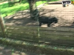 Анальный секс, Большие сиськи, Брюнетки, На природе, На публике