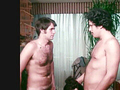 Amerikai, Cumizás, Ondó fröcskölés, Szőrös, Múltbéli divat, Hármas, Régebbi évjáratú pornó