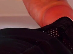 Kuřba, Macaté, Evropské, Tlusté, Gay