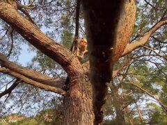 Hot Babe Deepthroat Big Cock on the Tree - Cum Swallow